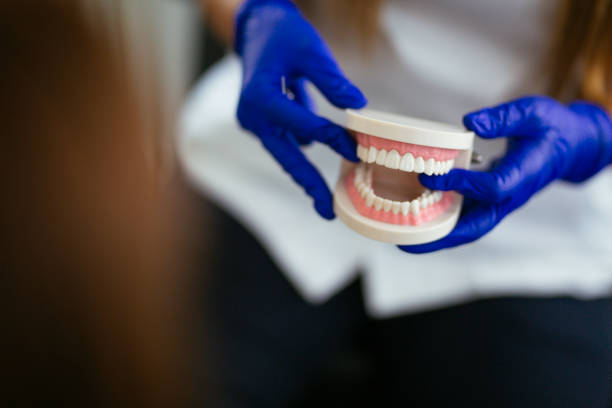 Reliable Lake Nacimiento, CA Holistic Dental Care Services Solutions